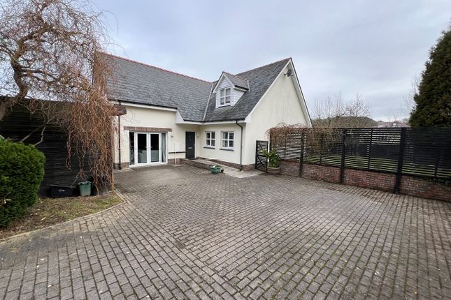 Detached bungalow for sale in Gilfachrheda, New Quay