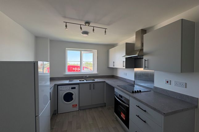 Plot 257, 78, Tithecott Way, Bideford photo 2