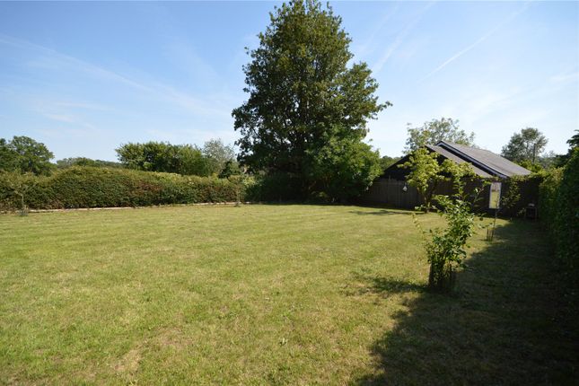 Sunninghill,, Grange Hill, Halstead photo 3