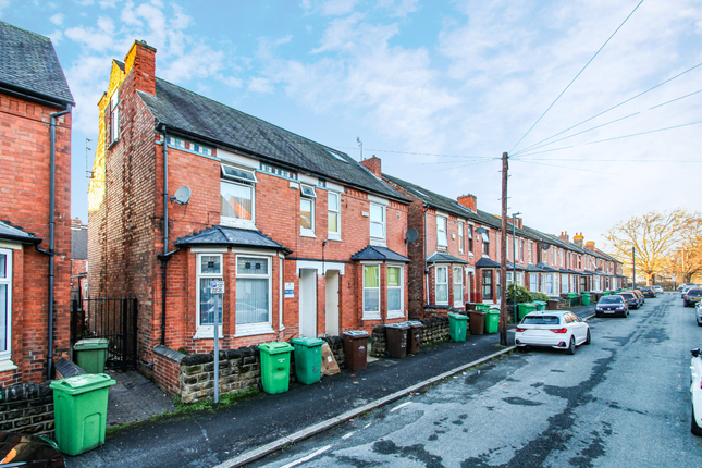 Untitled Design - 2024-11-25T161902.986