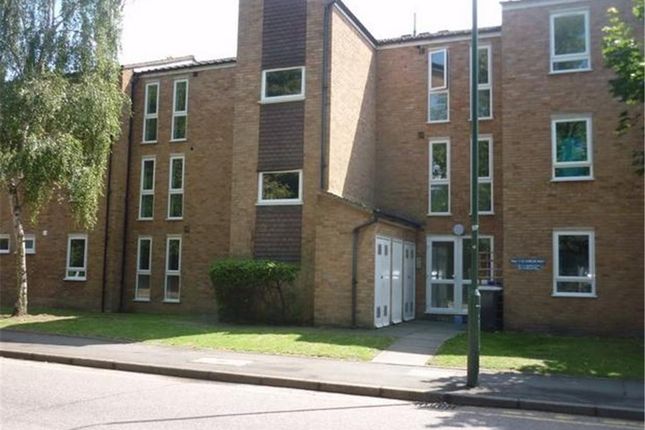 External