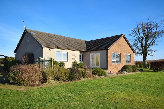 Bungalow to rent in Cuthlie, Arbroath, Angus
