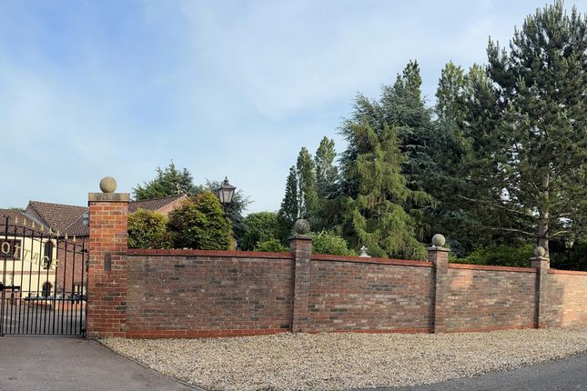 The Cottage, Shack Lane, Blofield photo 4