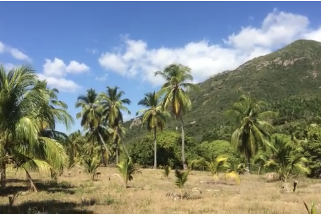 Land for sale in Nosy Faly, Nosy Faly, Mg