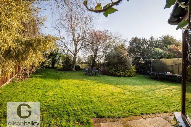 51Wroxhamroad-116.Jpg