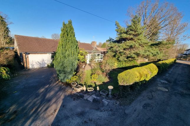 Thumbnail Bungalow for sale in Smallfield, Horley