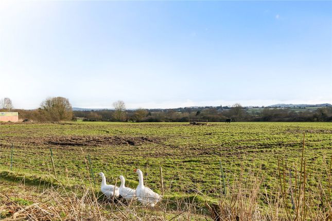 South Cottage,, Wigborough, Somerset photo 4
