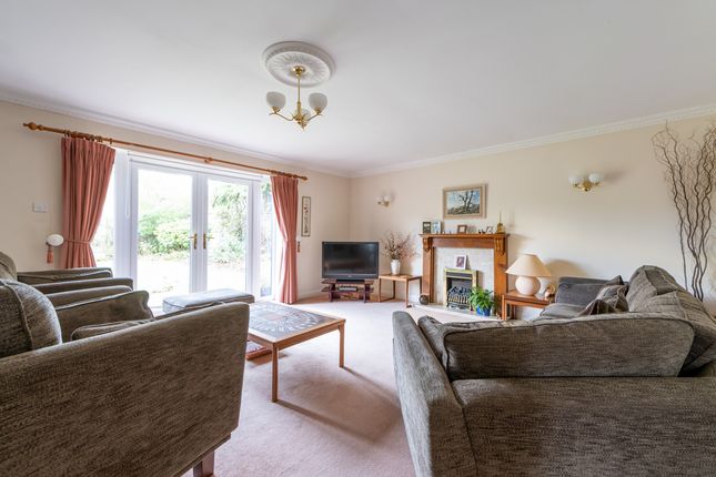 Dinhay, Sturminster Newton photo 4