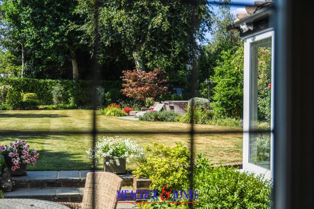 Birchwood House, 86, Priests Lane, Brentwood photo 3