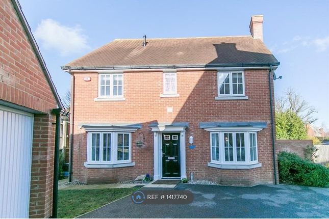 Thumbnail Detached house to rent in Gavin Way, Highwoods, Colchester