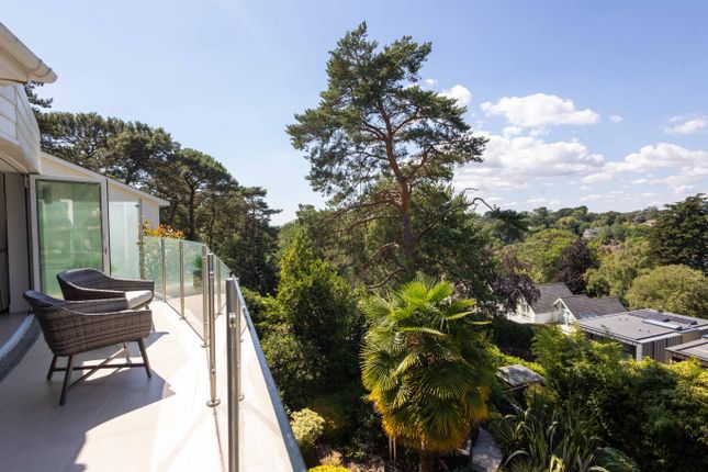 View From Living Room Terrace