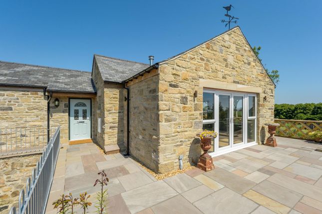 Thumbnail Bungalow for sale in Alnwick