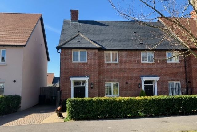 Thumbnail Semi-detached house to rent in Swithun Way, Winchester