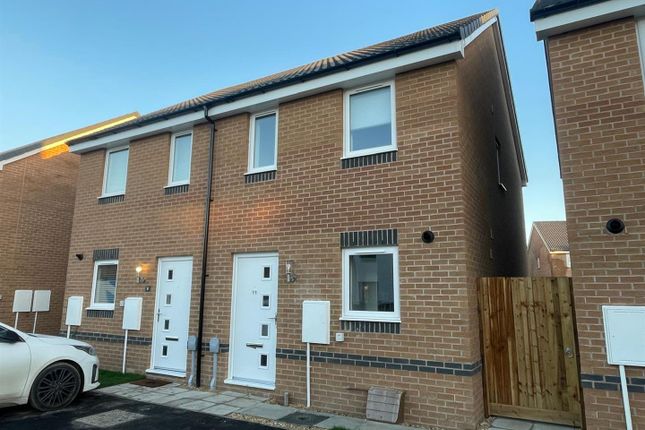 Whatsapp Image 2025-11-26 At 16.31.59.Jpeg