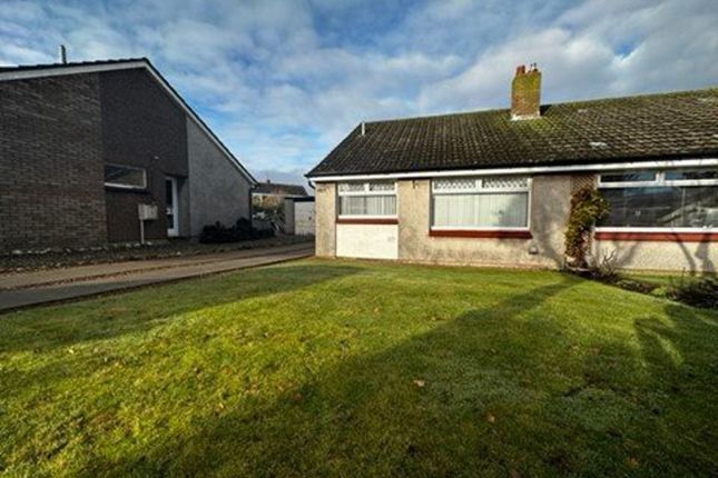 Detached house to rent in Letham Place, St. Andrews KY16