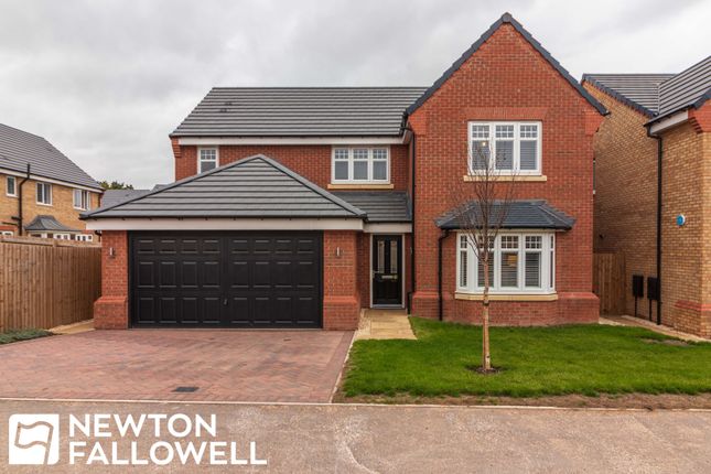 Thumbnail Detached house for sale in Bacopa Drive, Retford
