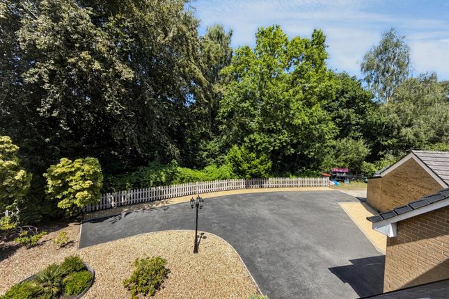30, Dewberry Grove, Newport photo 4