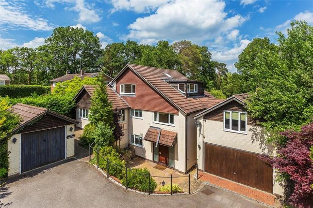 Thumbnail Detached house to rent in Pond Road, Hook Heath, Woking