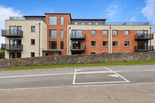 Thumbnail Flat to rent in Newtownbreda Road, Belfast