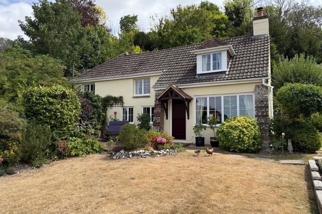 Bunbury Cottage, The Green, Salisbury photo 3
