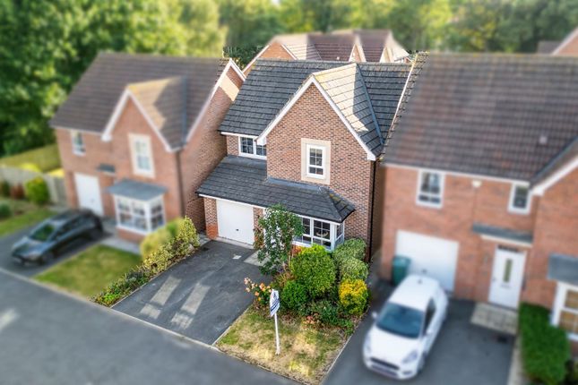 Dji_0962K9.Jpg