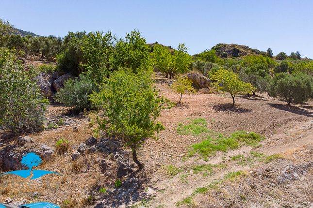 Land for sale in Casarabonela, Malaga, Spain