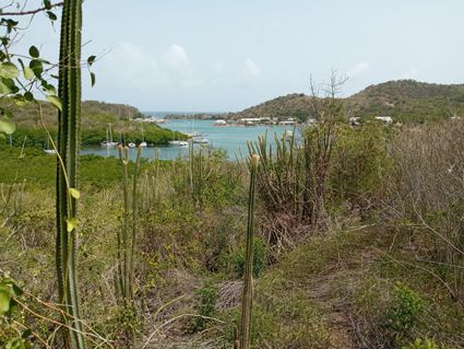 Thumbnail Land for sale in Building Plot, Nelson's Dockyard, English Harbour, Antigua And Barbuda