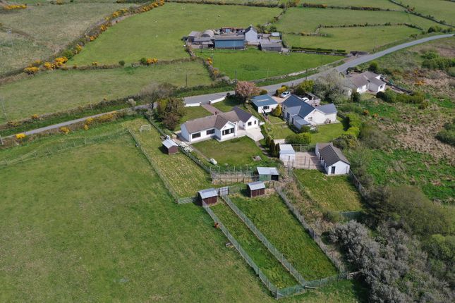 Herston, Goodwick photo 3