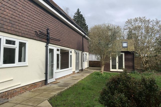 Detached house to rent in Rew Lane, Chichester