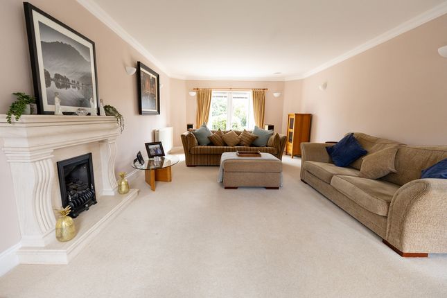 6, Bramhall Drive, Washington photo 4