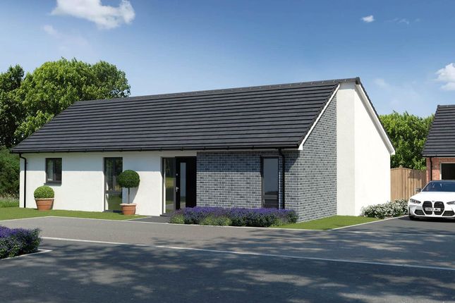 Thumbnail Bungalow for sale in Chilla Junction, Chilla Road, Halwill Junction, Devon