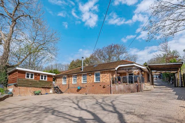 Thumbnail Detached bungalow for sale in Kings Hill, Beech, Alton, Hampshire