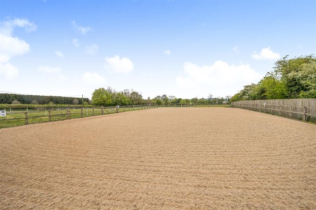 Manege