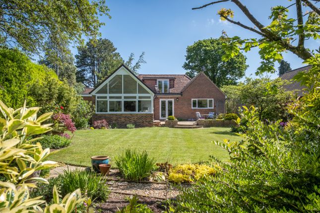 Thumbnail Bungalow for sale in West Broyle Drive, West Broyle, Chichester, West Sussex