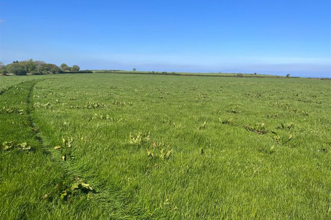 Land at Llansantffraed, Llanon photo 2