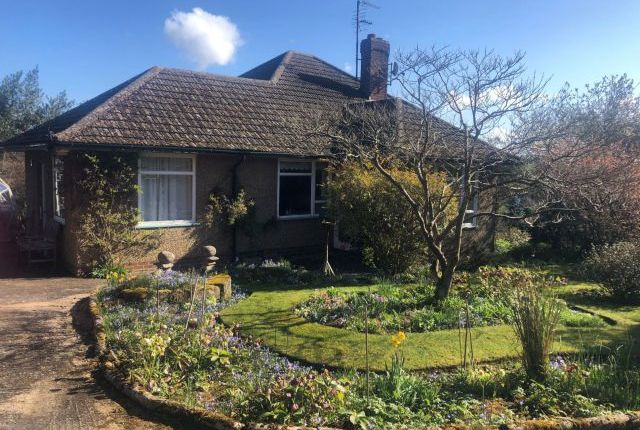 Thumbnail Detached bungalow for sale in Church Hill, Hollowell, Northampton