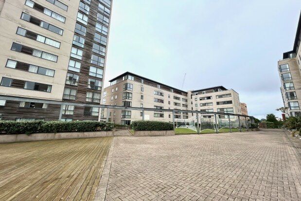 Thumbnail Flat to rent in Falcon Drive, Caerdydd