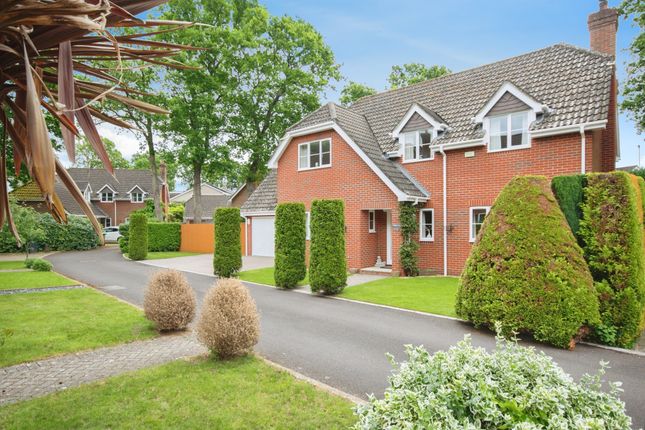 Thumbnail Detached house for sale in Bridleways, Verwood