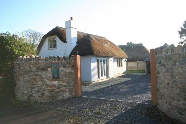 Cottage to rent in Crest Cottage, Staple, Dartington