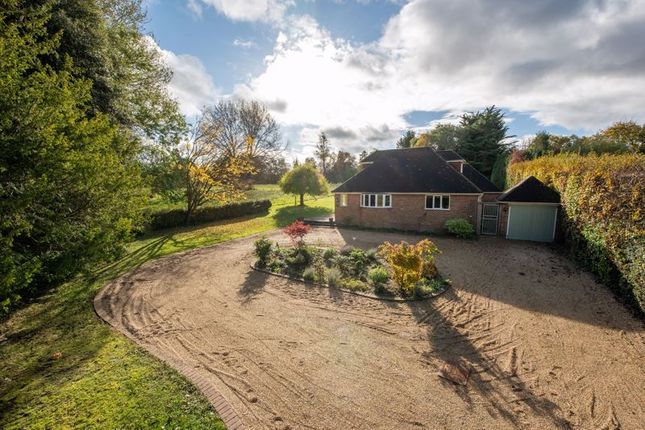 Thumbnail Detached house for sale in Pine Walk, East Horsley, Leatherhead