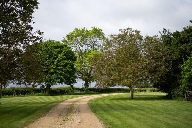 Millfarm-0009.Jpg