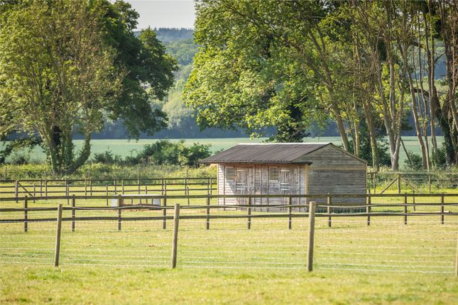 Paddocks