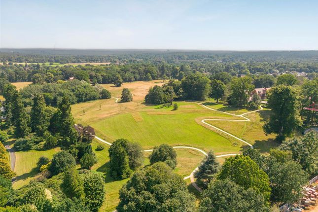 Larch Court, Larch Court, Sunningdale photo 4