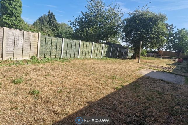 View Of Back Garden
