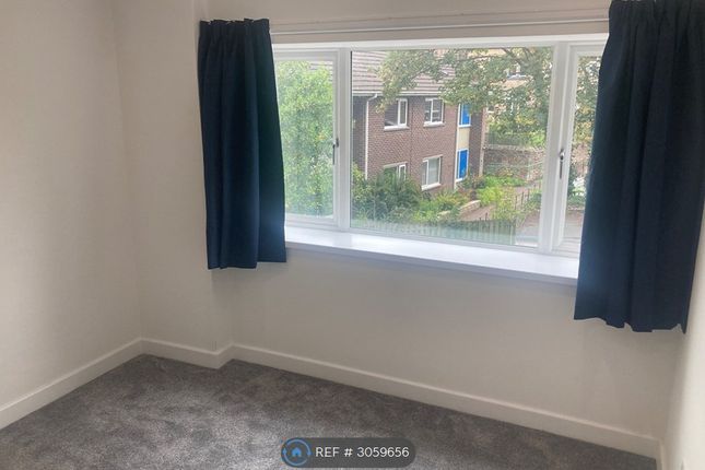 Flat, Armthorpe Road, Sheffield photo 4