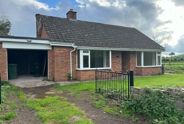 Detached bungalow to rent in Clifford, Hereford