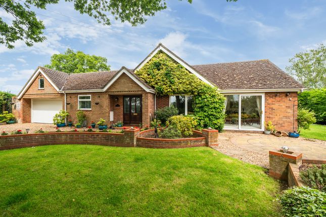 Thumbnail Semi-detached bungalow for sale in Great Lane, Clophill