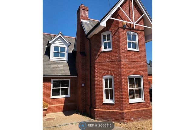 Detached house to rent in Spurgeon Street, Colchester