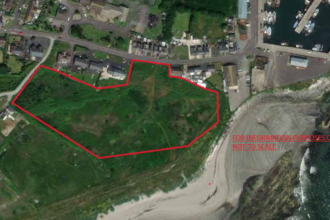 Thumbnail Land for sale in Portavogie, Newtownards, Down