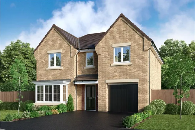 Miller Homes - The Avenue at City Fields